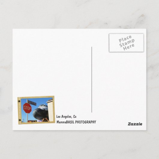 クールロサンゼルス/エンデバーはがき！ ポストカード (裏面)