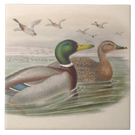 クールヴィンテージダックのデコまたはセラミックタイル タイル