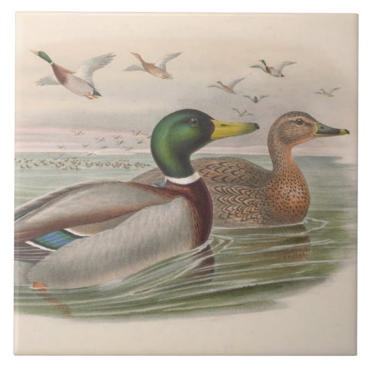 クールヴィンテージダックのデコまたはセラミックタイル タイル (正面)