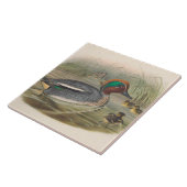 クールヴィンテージダックのデコまたはセラミックタイル タイル (側面)