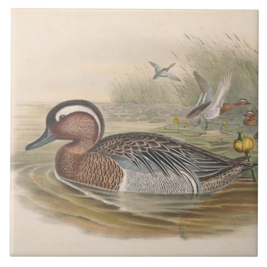 クールヴィンテージダックのデコまたはセラミックタイル タイル (正面)