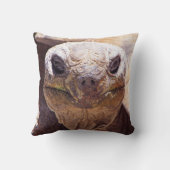 クール亀枕！ クッション (裏面)