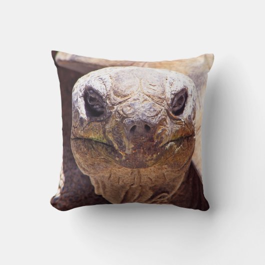 クール亀枕！ クッション (正面)