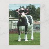 クール牛1 ポストカード (正面)