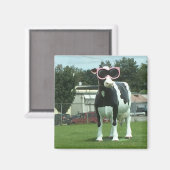 クール牛1 マグネット (正面/裏面)