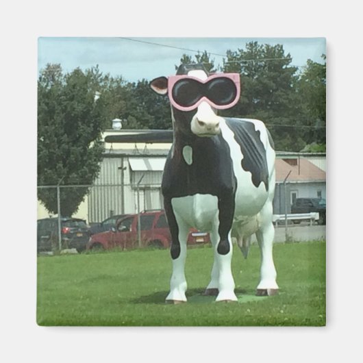 クール牛1 マグネット (正面)