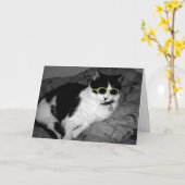 クール猫wサングラス誕生日カード カード (黄色い花)