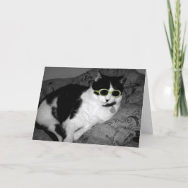 クール猫wサングラス誕生日カード カード