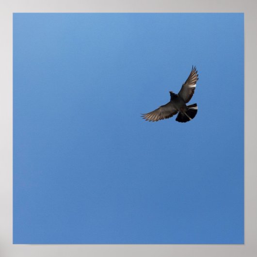 クール飛んでいるモダン鳥シンプルモダンデザイン ポスター (正面)