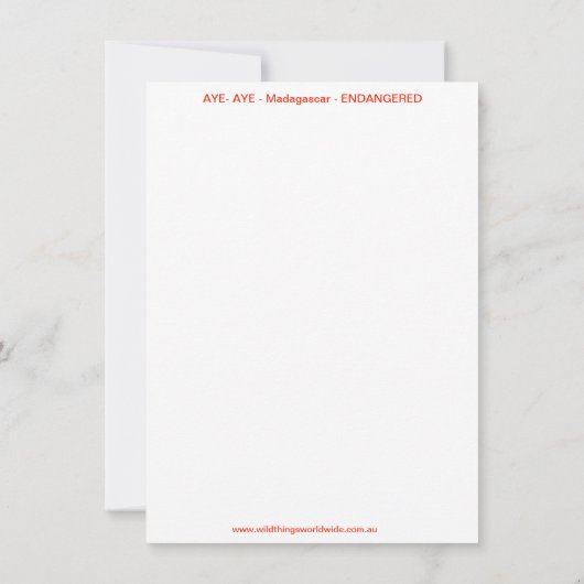 クールAYE-AYE – 霊長類 – レムール – マダガスカル 招待状 (裏面)