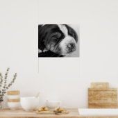 クーンハウンドパピー ポスター (キッチン)