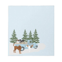 クーンハウンド冬