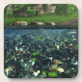 クーンリバーコルクコースター コースター (正面)