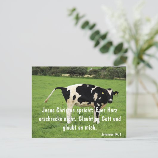 クー ポストカード (スタンド正面)