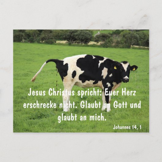 クー ポストカード (正面)