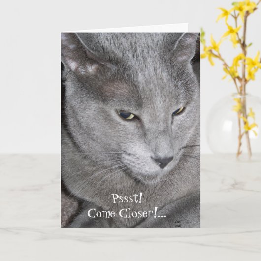 ク来ロア・カード カード (黄色い花)