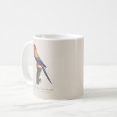 グァルーバ島 コーヒーマグカップ (正面左)