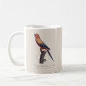 グァルーバ島 コーヒーマグカップ (左)