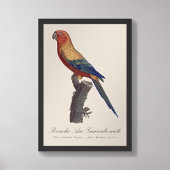 グァルーバ島 フォトプリント           