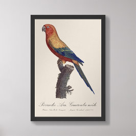 グァルーバ島 フォトプリント