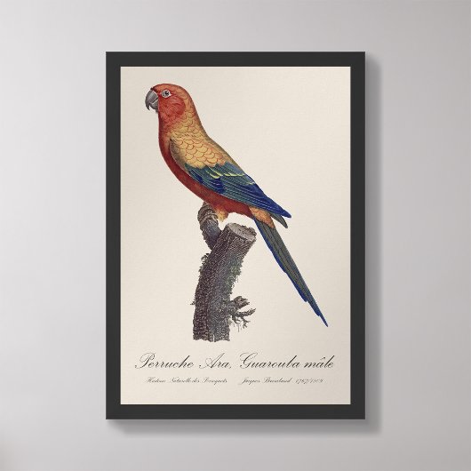 グァルーバ島 フォトプリント           