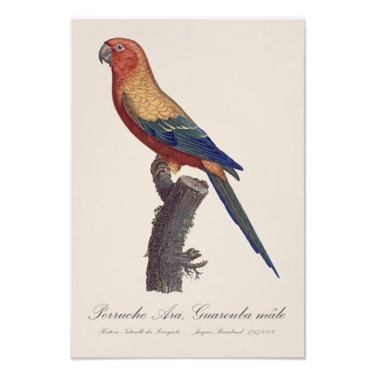 グァルーバ島 フォトプリント            (正面)