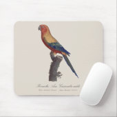 グァルーバ島 マウスパッド (マウス)