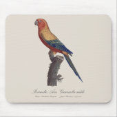 グァルーバ島 マウスパッド (正面)