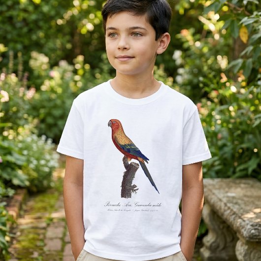 グァルーバ島 Tシャツ