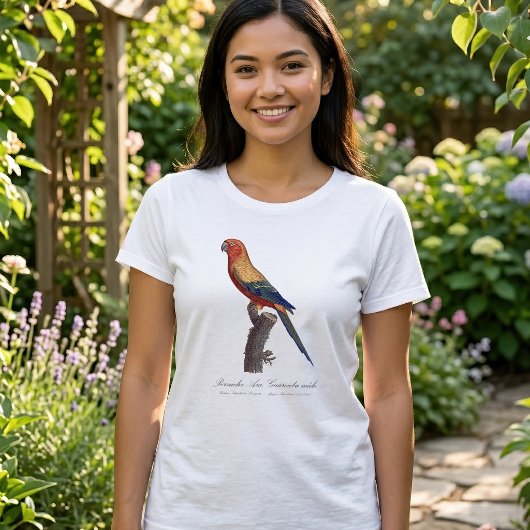 グァルーバ島 Tシャツ