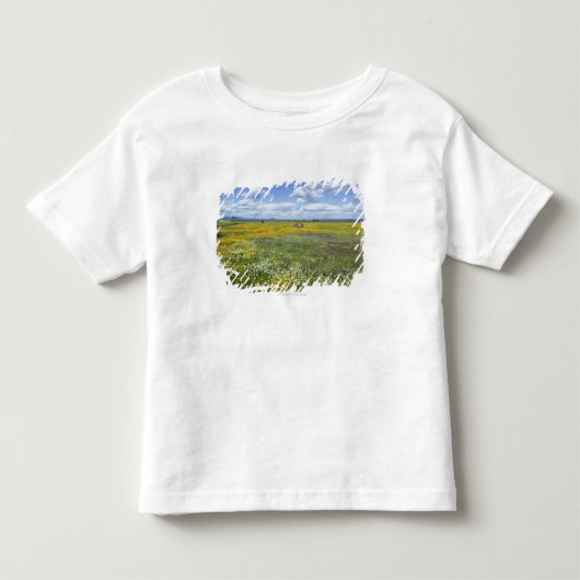 グアダルペの近くの春の分野 トドラーTシャツ (正面)