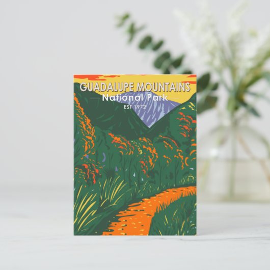 グアダループマウンテンズナショナルパークマキットトリック ポストカード (スタンド正面)