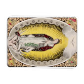 グアダルーペの我々の婦人 マグネット (横)