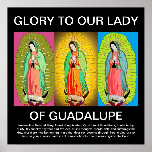 グアダルーペの栄光 ポスター (正面)