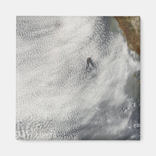 グアダルーペ島の雲の渦と栄光 マグネット (正面)