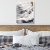 グアダルーペ島 キャンバスプリント (インサイチュ (寝室))