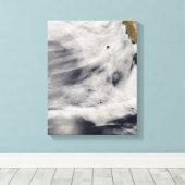 グアダルーペ島 キャンバスプリント (インサイチュ (ウッドフロア))