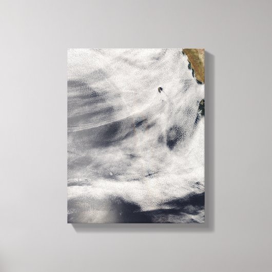 グアダルーペ島 キャンバスプリント (正面)