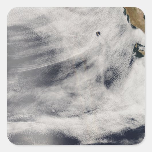 グアダルーペ島 スクエアシール (正面)