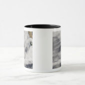 グアダルーペ島 マグカップ (中央)