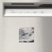 グアダルーペ島 マグネット (インサイチュ (食洗機))