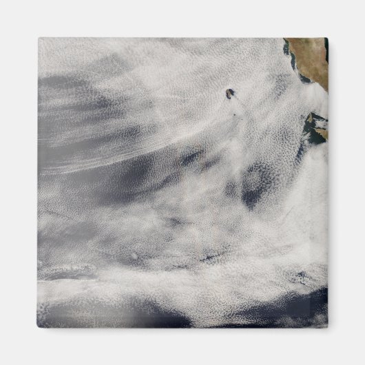 グアダルーペ島 マグネット (正面)