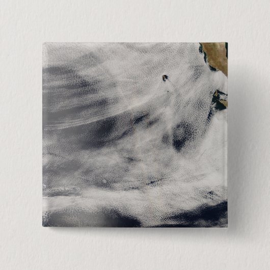 グアダルーペ島 缶バッジ (正面)