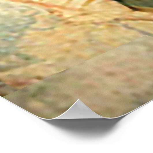 グアダルーペ・ティルマのレプリカの私たちの女性 ポスター (角)