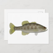 グアダルーペ・バス ポストカード (正面/裏面)