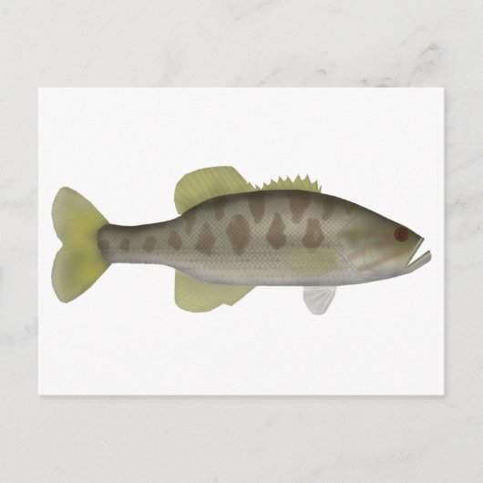 グアダルーペ・バス ポストカード (正面)