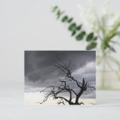 グアダルーペ ポストカード (スタンド正面)