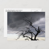 グアダルーペ ポストカード (正面/裏面)