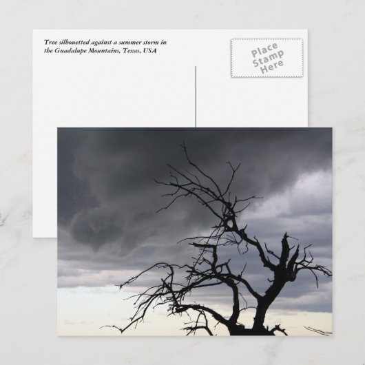 グアダルーペ ポストカード (正面/裏面)