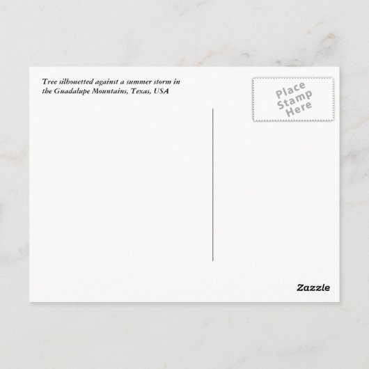 グアダルーペ ポストカード (裏面)